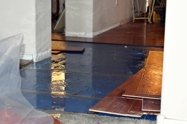 Professional Flood Cleanup technician working in Clinton, NJ